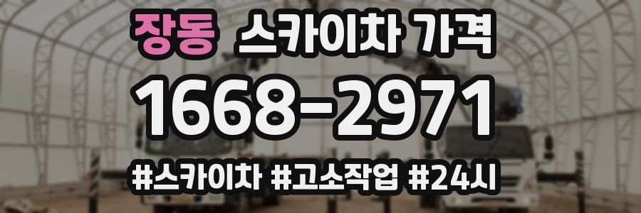장동 스카이차 가격