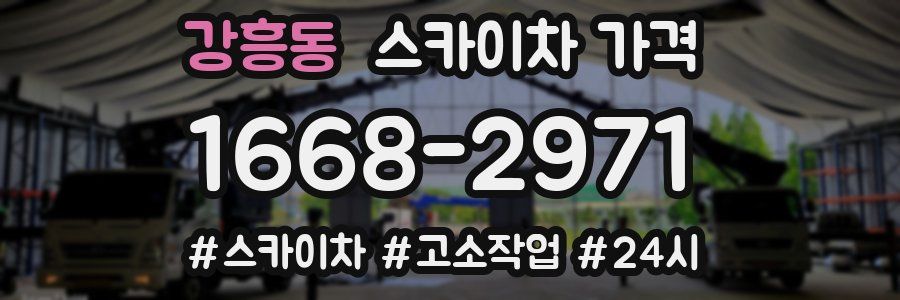 강흥동 스카이차 가격