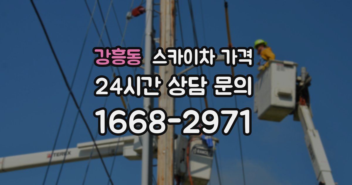 강흥동 스카이차 가격