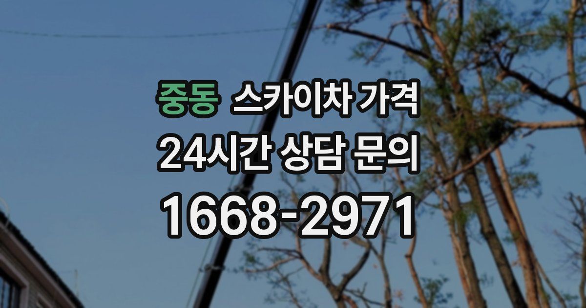 중동 스카이차 가격