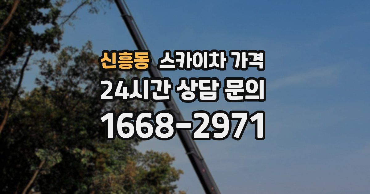 신흥동 스카이차 가격