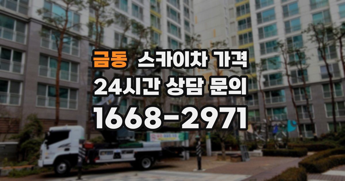 금동 스카이차 가격