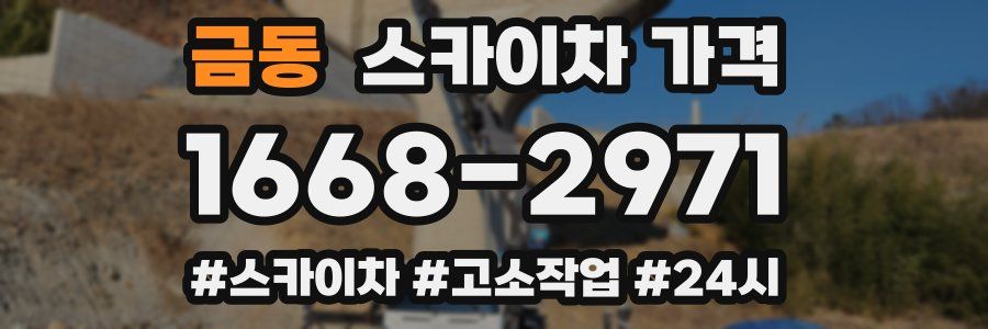 금동 스카이차 가격