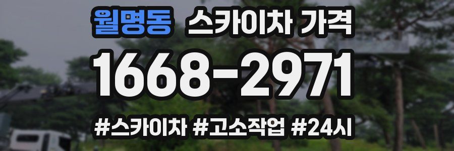 월명동 스카이차 가격