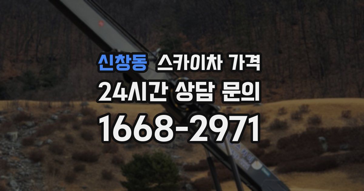 신창동 스카이차 가격