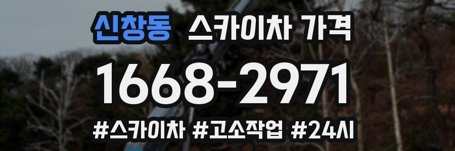 신창동 스카이차 가격