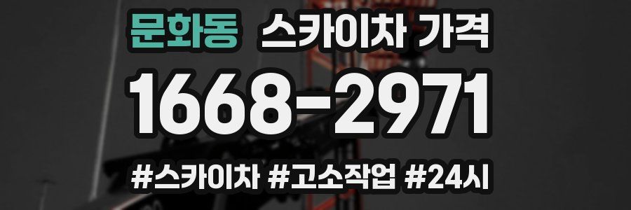 문화동 스카이차 가격