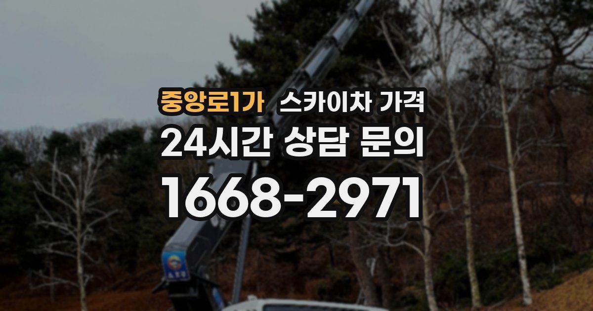 중앙로1가 스카이차 가격