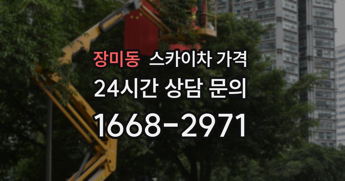 장미동 스카이차 가격