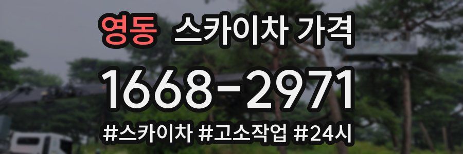 영동 스카이차 가격