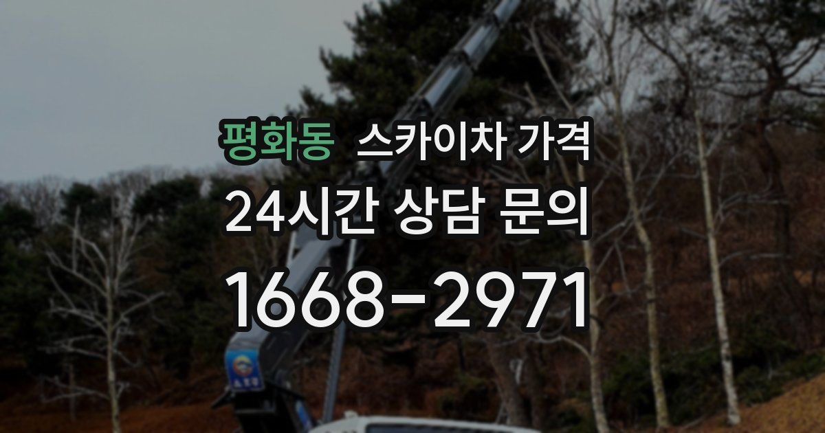 평화동 스카이차 가격