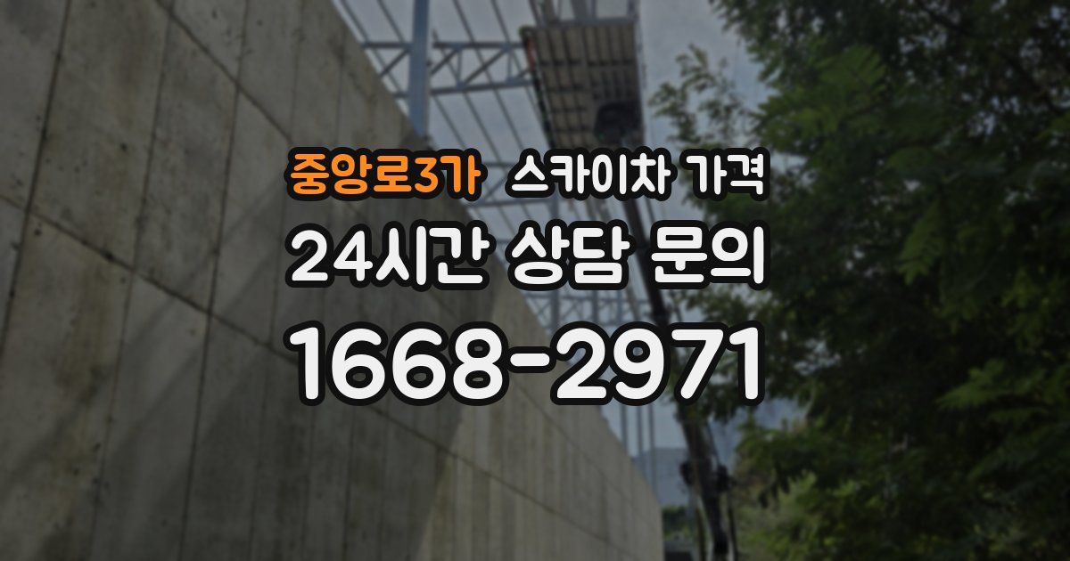 중앙로3가 스카이차 가격