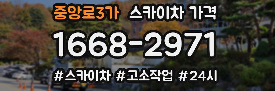 중앙로3가 스카이차 가격