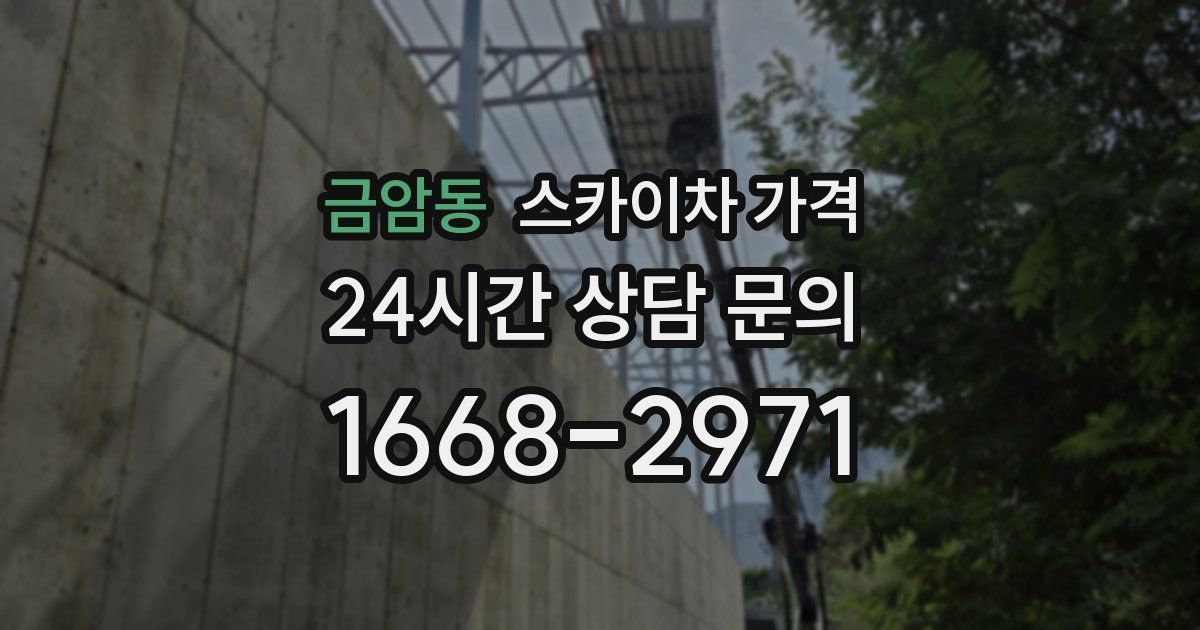 금암동 스카이차 가격