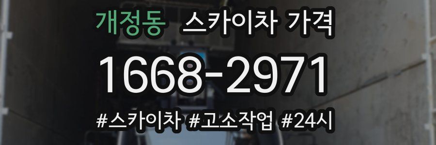 개정동 스카이차 가격