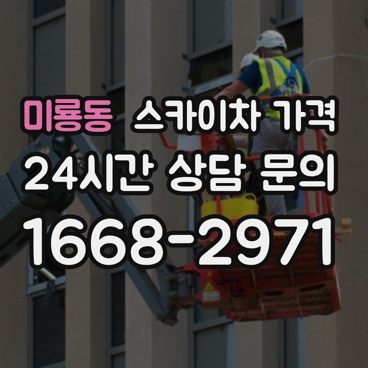 미룡동 스카이차 가격 가지치기 작업은 바람이 변수인 이유
