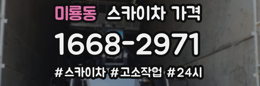 미룡동 스카이차 가격