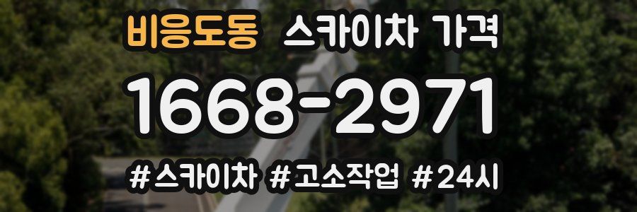 비응도동 스카이차 가격