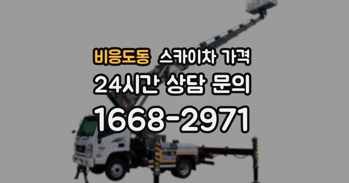 비응도동 스카이차 가격