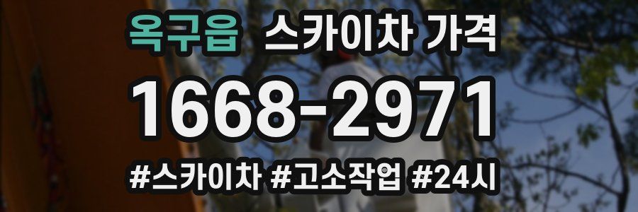 옥구읍 스카이차 가격