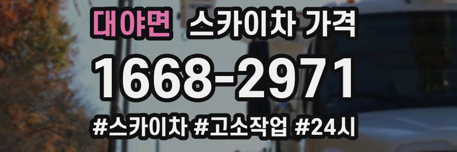 대야면 스카이차 가격