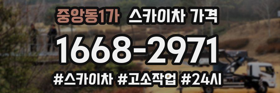 중앙동1가 스카이차 가격