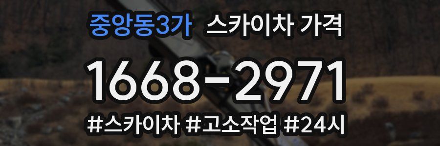 중앙동3가 스카이차 가격