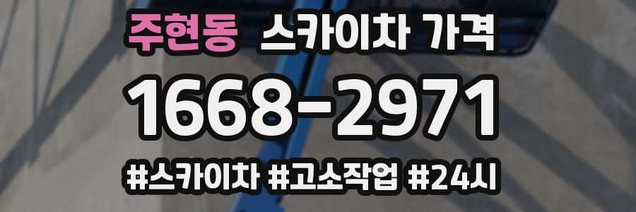 주현동 스카이차 가격