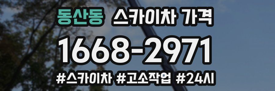 동산동 스카이차 가격