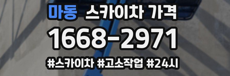 마동 스카이차 가격