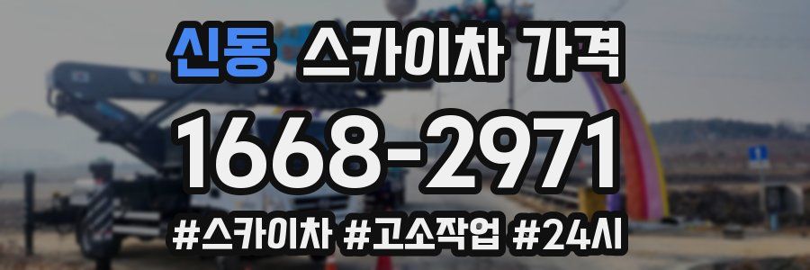 신동 스카이차 가격