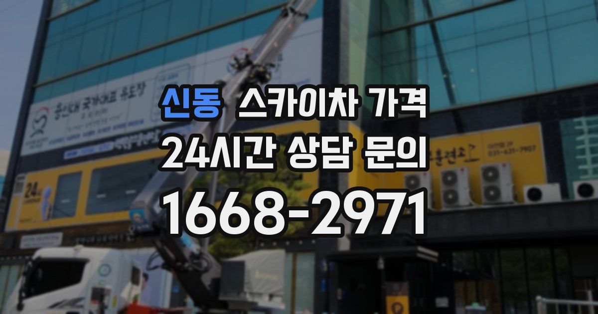 신동 스카이차 가격