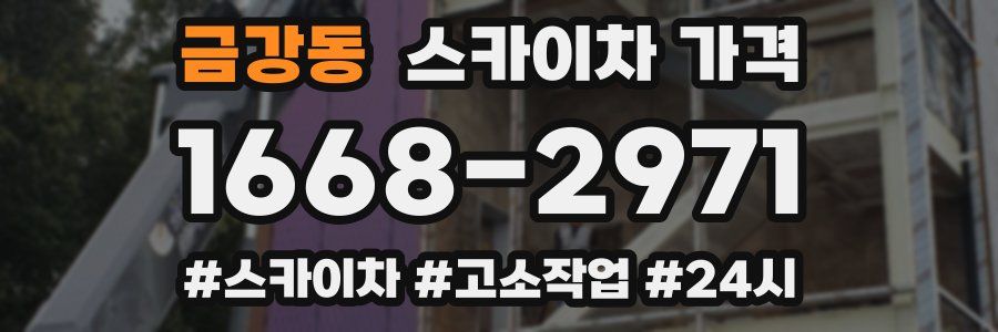 금강동 스카이차 가격