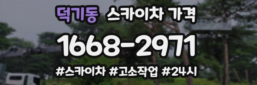 덕기동 스카이차 가격