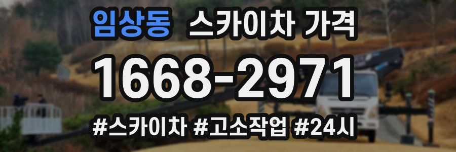 임상동 스카이차 가격