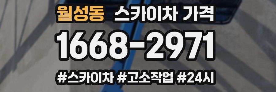 월성동 스카이차 가격