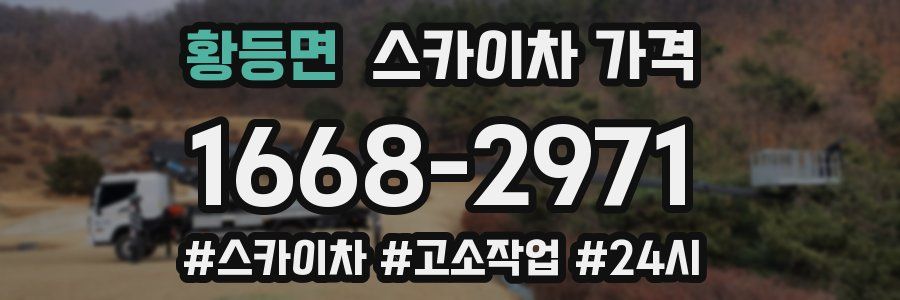 황등면 스카이차 가격