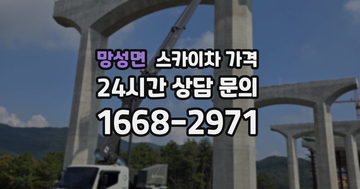 망성면 스카이차 가격