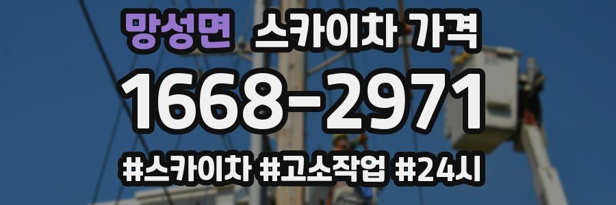 망성면 스카이차 가격