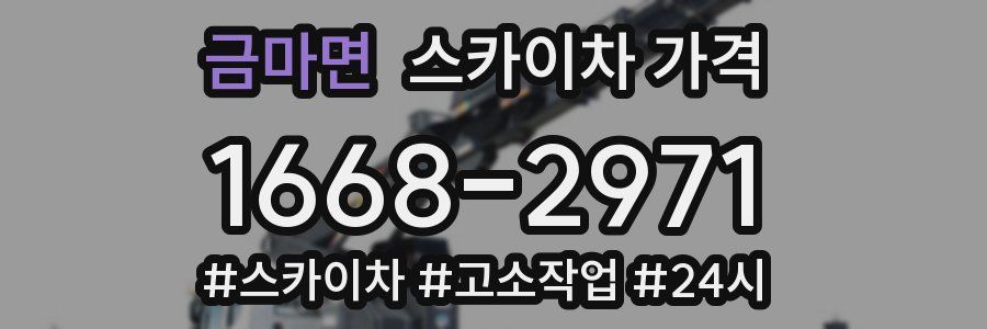 금마면 스카이차 가격