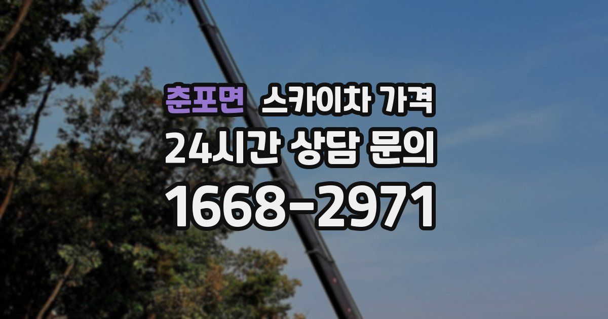 춘포면 스카이차 가격