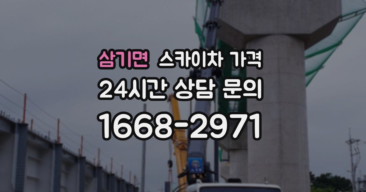 삼기면 스카이차 가격