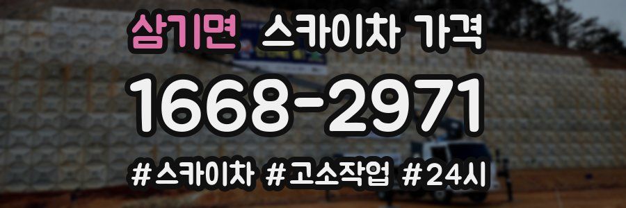 삼기면 스카이차 가격