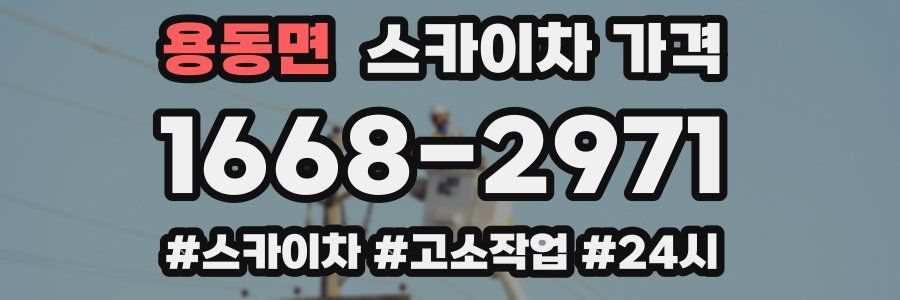 용동면 스카이차 가격