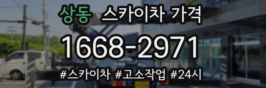 상동 스카이차 가격