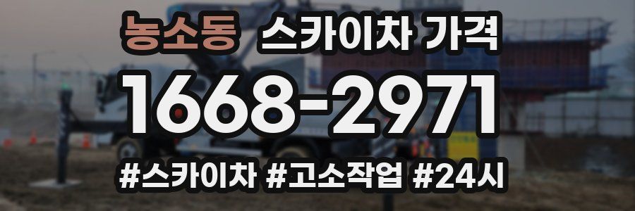 농소동 스카이차 가격