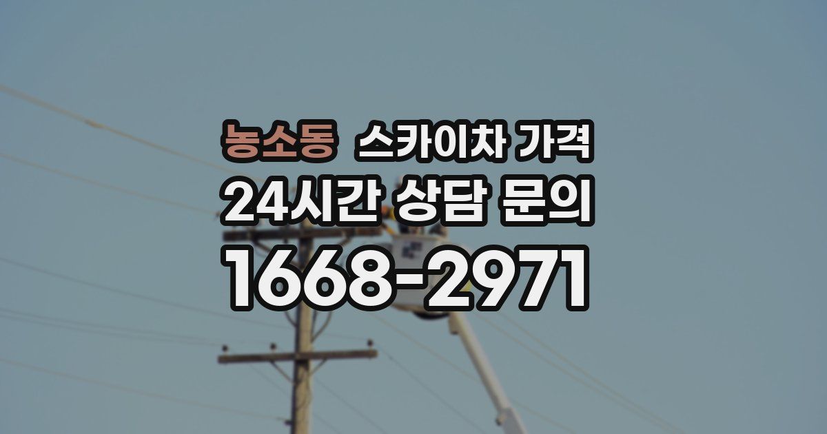 농소동 스카이차 가격