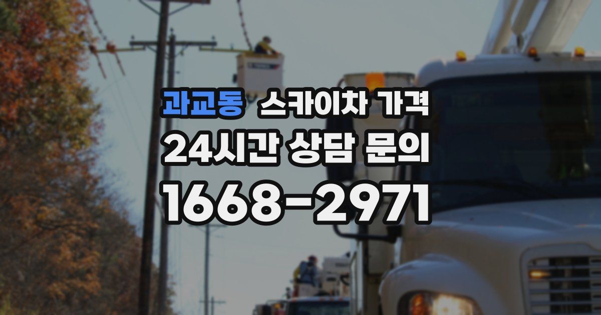 과교동 스카이차 가격