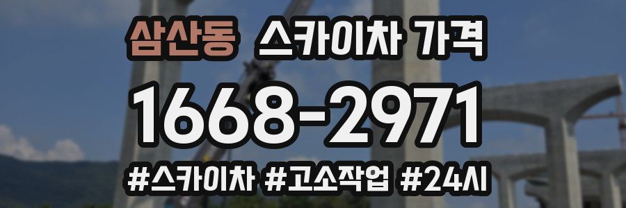 삼산동 스카이차 가격