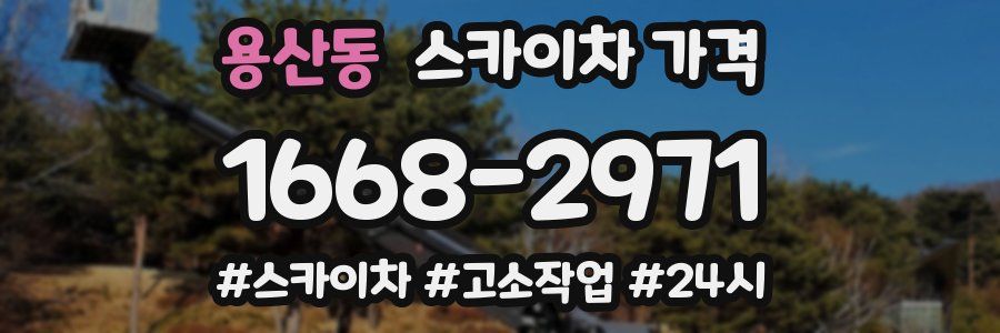 용산동 스카이차 가격